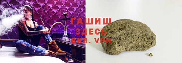 тгк Гусев