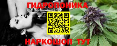 мдма Гусев