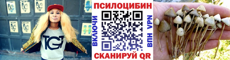 Псилоцибиновые грибы Psilocybine cubensis  сайты даркнета официальный сайт  Глазов 