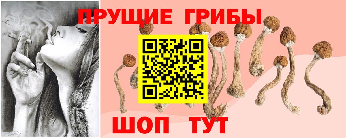 Псилоцибиновые грибы прущие грибы Глазов