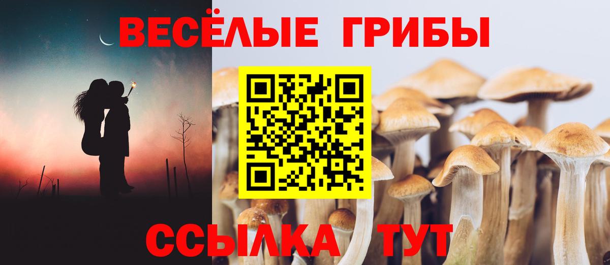 Глазов  Галлюциногенные грибы Psilocybe  Вход с VPN 